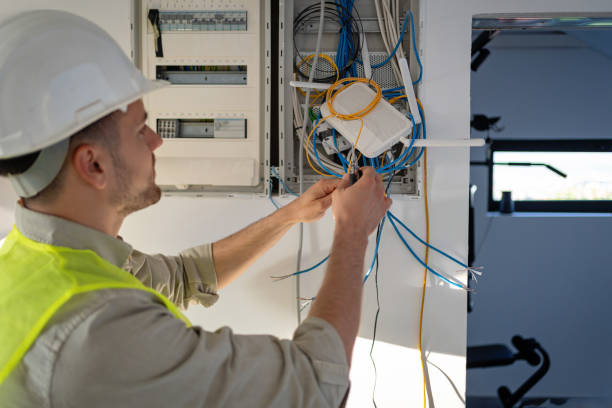 Best Electrical System Inspection  in Platte, SD